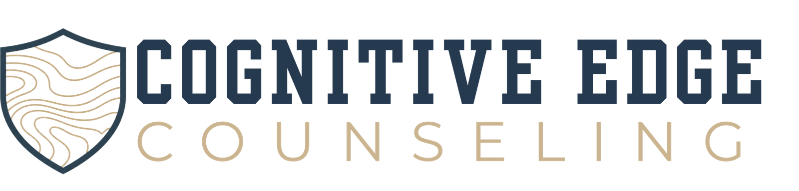 Cognitive Edge Counseling