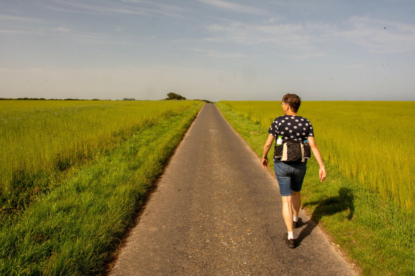 A person walking alone along an open road through green fields.