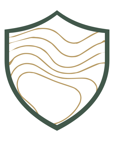 Cognitive Edge Counseling shield